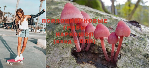 крисы Вяземский