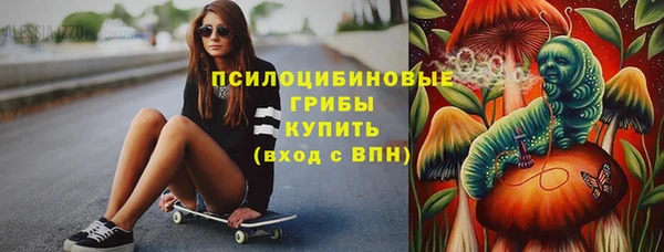 крисы Вяземский