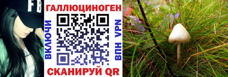 Псилоцибиновые грибы Psilocybe  даркнет сайт  Луза 